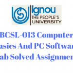 BCSL-013 Computer Basics And PC Software Lab Solved Assignment